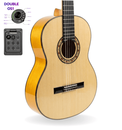 guitarra modesto malla manuela