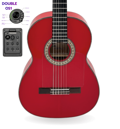 guitarra modesto malla chata