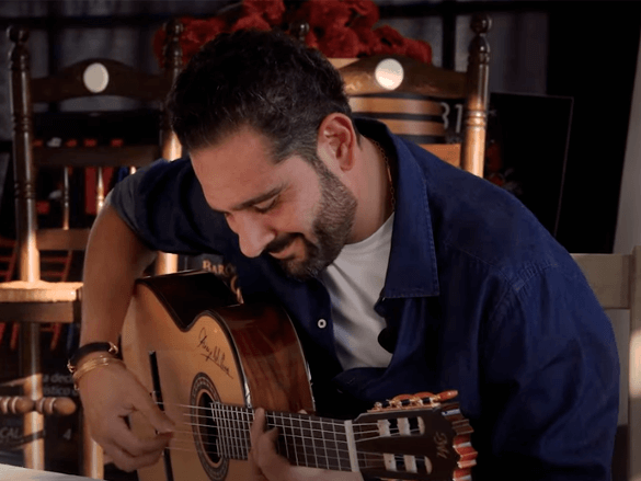 razones para comprar una guitarra de modesto malla