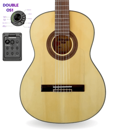 guitarra modesto malla f5