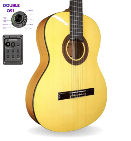 guitarra modesto malla f6