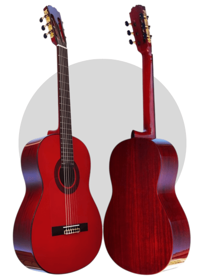 perfil delantero y trasero de la vicente tatay c320.590 pf roja