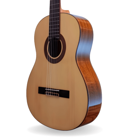 guitarra vicente tatay c320.590 pf
