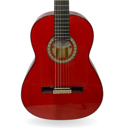 guitarra modesto malla piconera