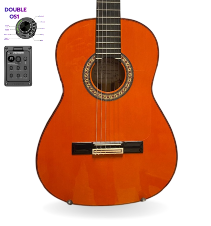 guitarra modesto malla piconera