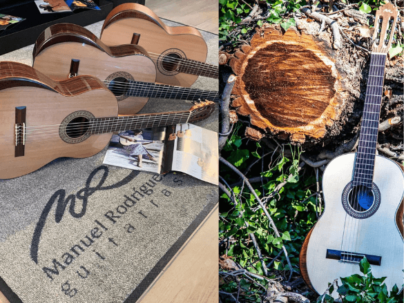 catálogo de guitarras manuel rodríguez