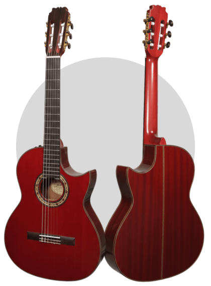 perfil delantero y trasero de la modesto malla flaca cut roja