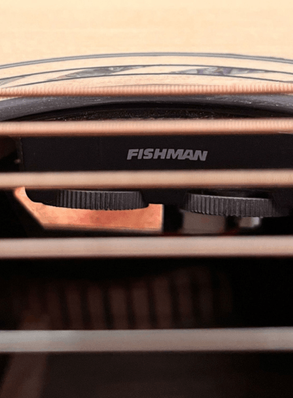 fishman-bromo-bar5ce electrificación fishman de la bromo bar5ce