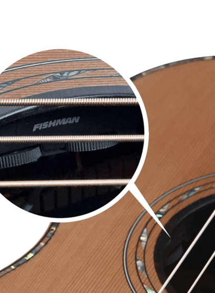 fishman-bromo-bar6e electrificación fishman en la bromo bar6e