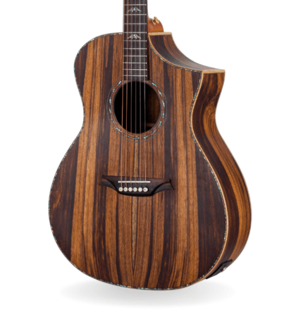 guitarra bromo bar4gce