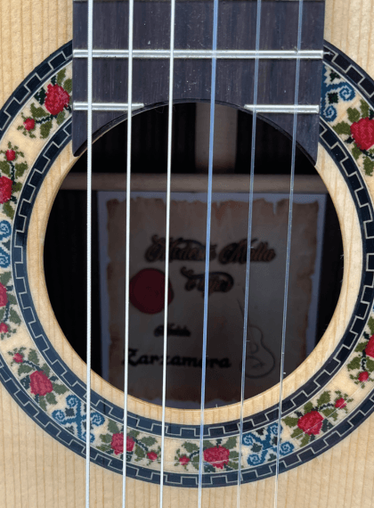 roseta-modesto-malla-zarzamora roseta de rosas de la modesto malla zarzamora